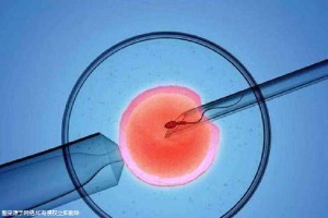 光愈生殖医学中心环境